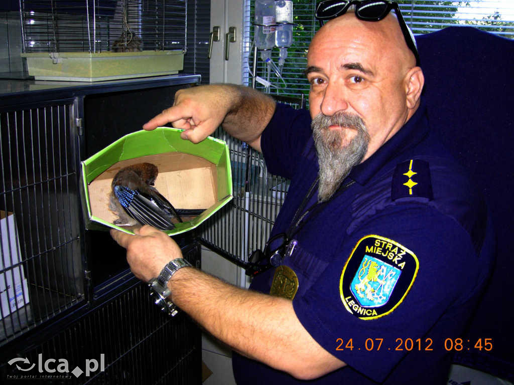 Legnicka LEGENDA zdejmuje mundur!