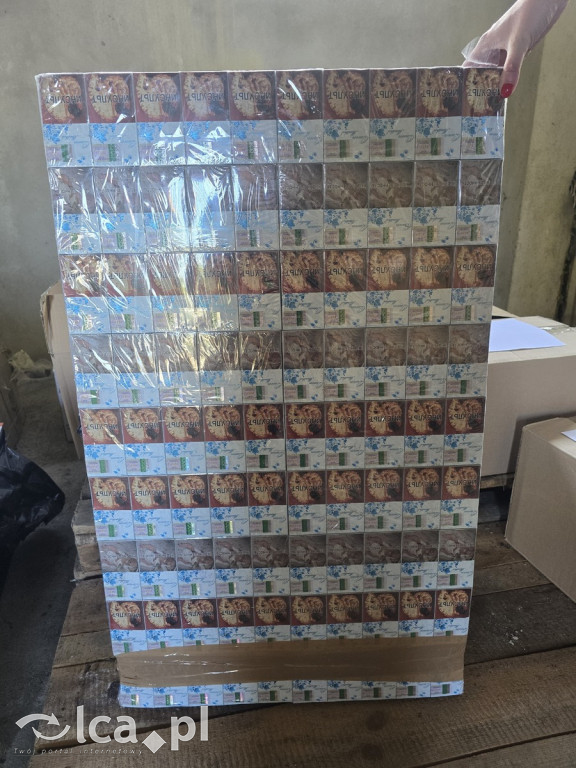 Wielka akcja policji. Trzy osoby zatrzymane