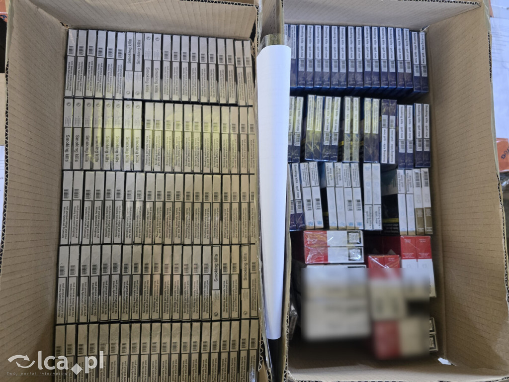 Wielka akcja policji. Trzy osoby zatrzymane