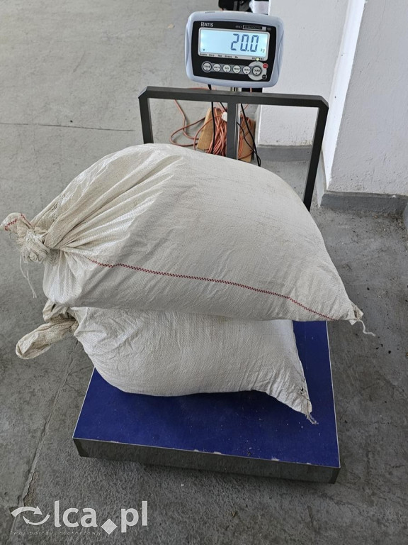 Wielka akcja policji. Trzy osoby zatrzymane