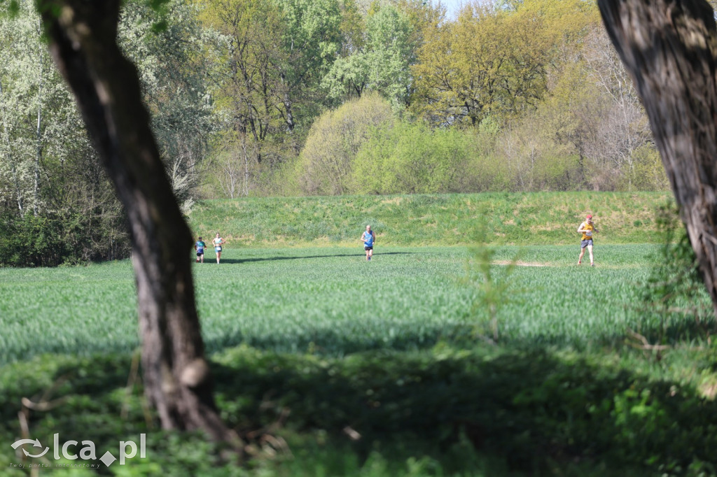 Bieg nad Kaczawą po raz piąty