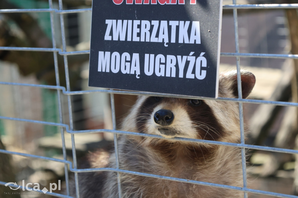 EGZOTYKA na wyciągnięcie ręki!