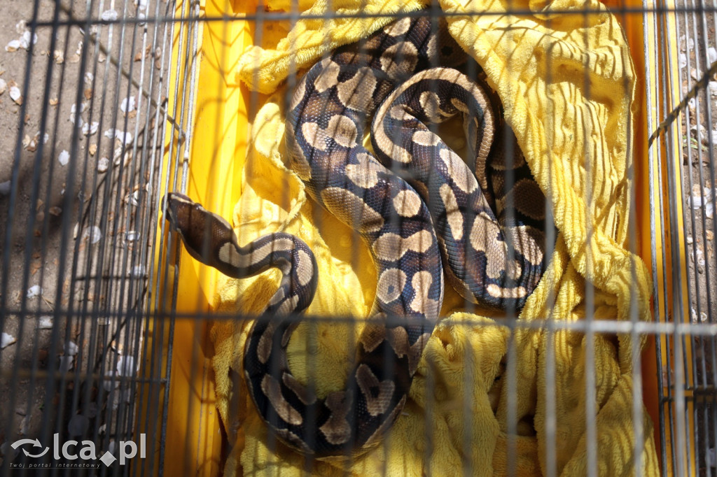 EGZOTYKA na wyciągnięcie ręki!