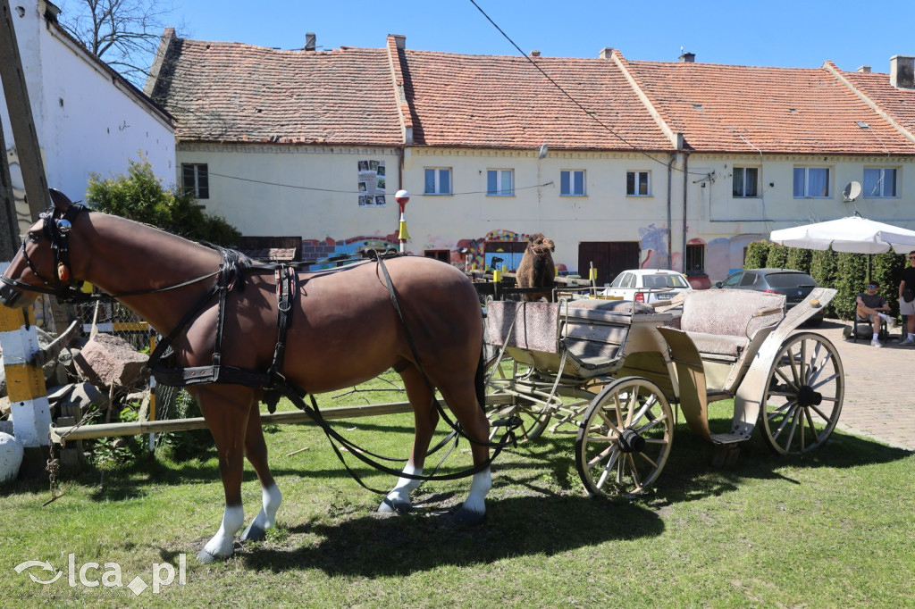 EGZOTYKA na wyciągnięcie ręki!