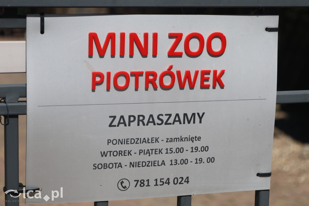 EGZOTYKA na wyciągnięcie ręki!
