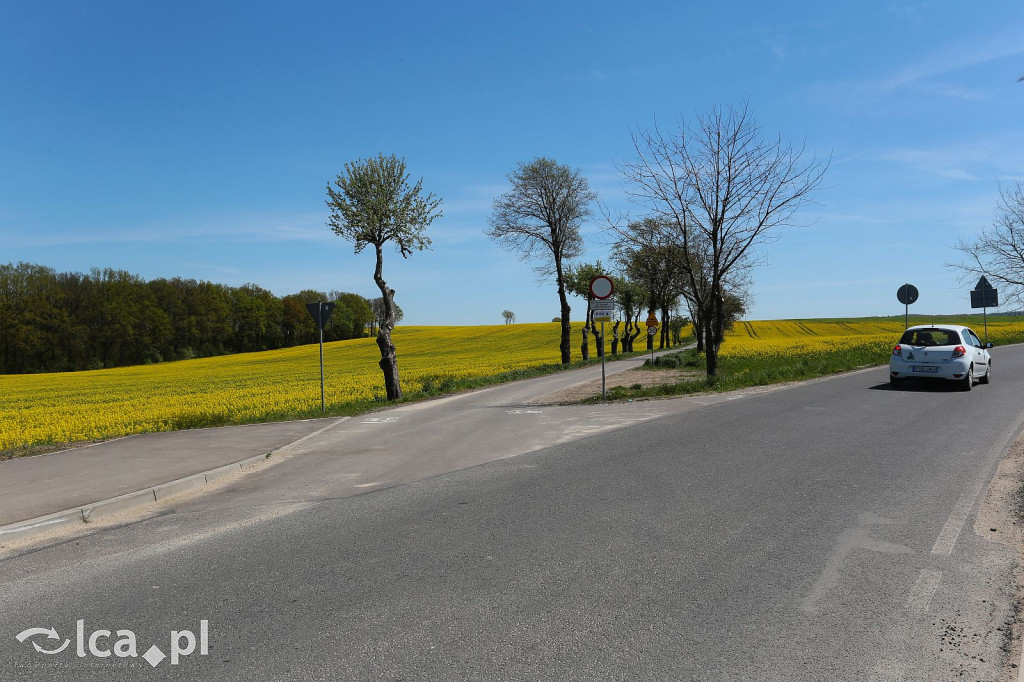 Asfaltowa wstęga w sercu dolnośląskiej natury