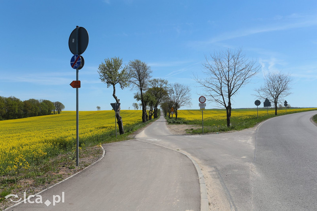 Asfaltowa wstęga w sercu dolnośląskiej natury