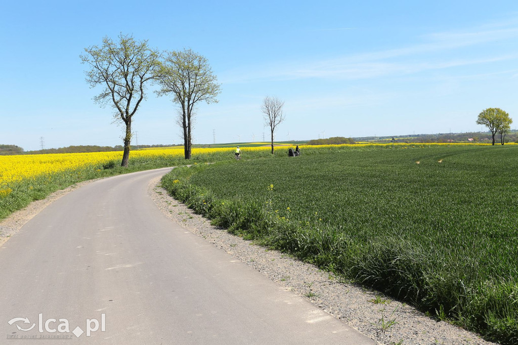 Asfaltowa wstęga w sercu dolnośląskiej natury