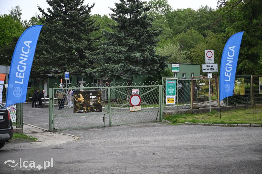 Zamiast wolnej soboty wybrali „Psiątanie”