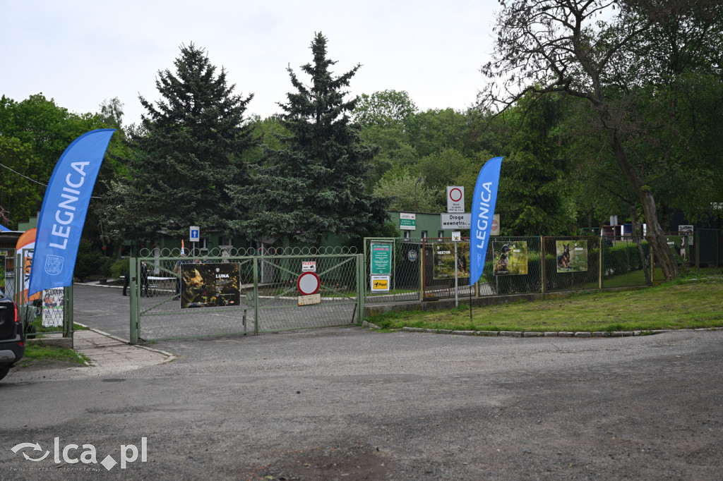 Zamiast wolnej soboty wybrali „Psiątanie”