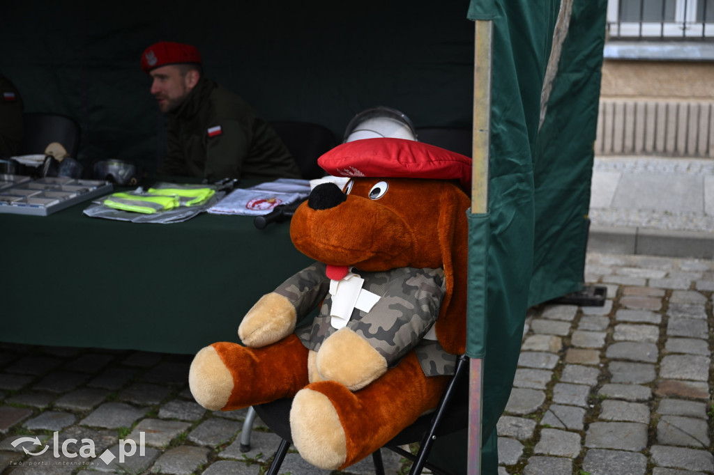 Wojskowy piknik u Zawiszy Czarnego