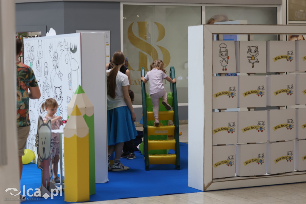 KICIA KOCIA opanowała Legnicę!