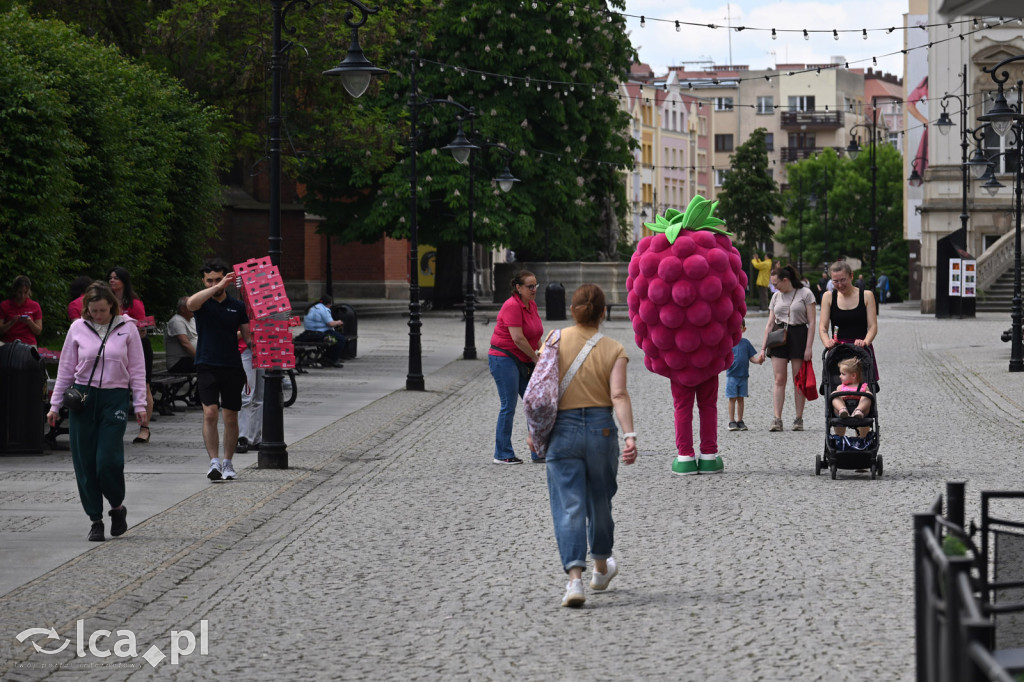 Po tych truskawkach mieszkańcy się zakochali