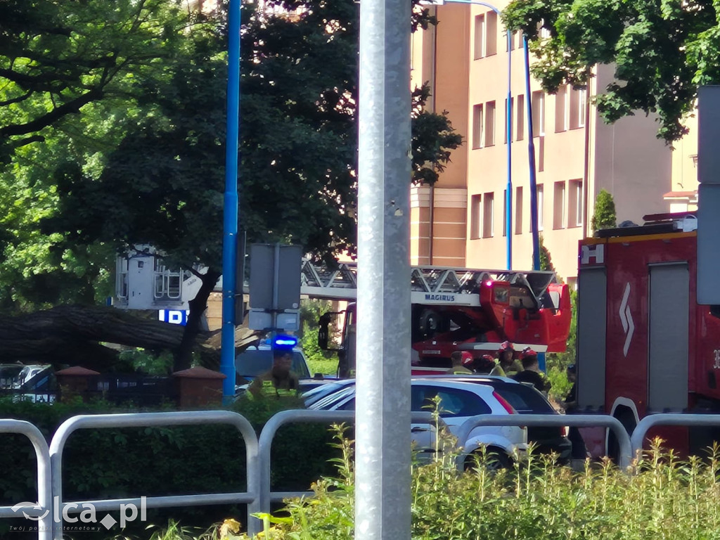 Potężne drzewo runęło na auto przy ul. Kościuszki