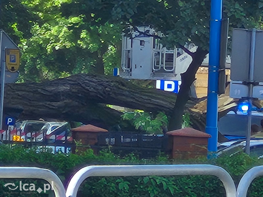 Potężne drzewo runęło na auto przy ul. Kościuszki