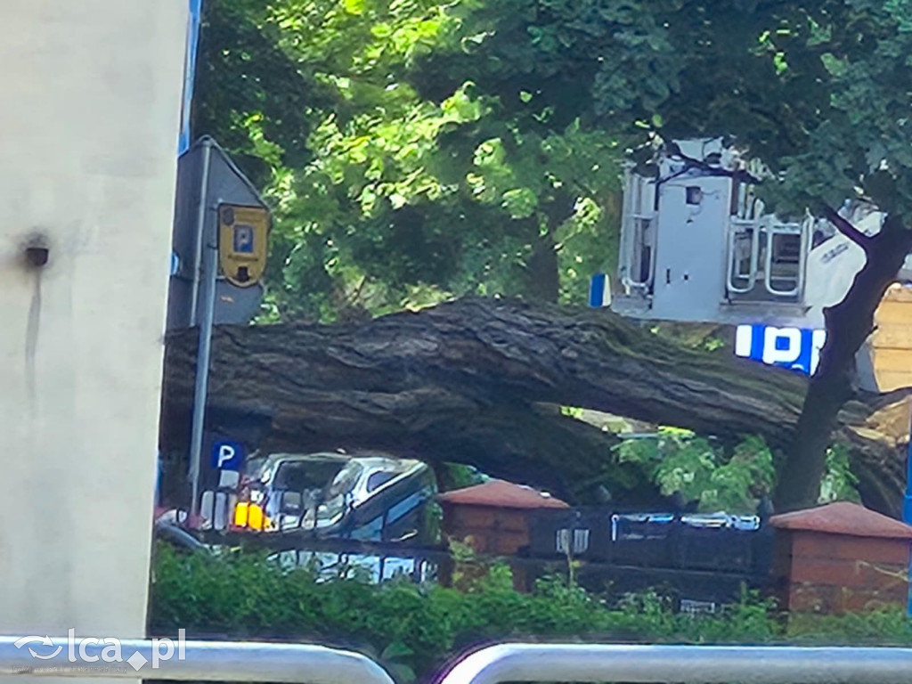 Potężne drzewo runęło na auto przy ul. Kościuszki