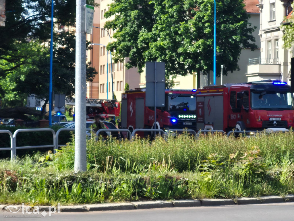 Potężne drzewo runęło na auto przy ul. Kościuszki
