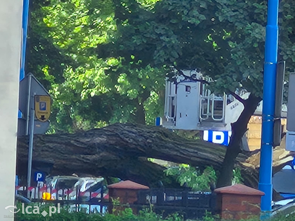 Potężne drzewo runęło na auto przy ul. Kościuszki