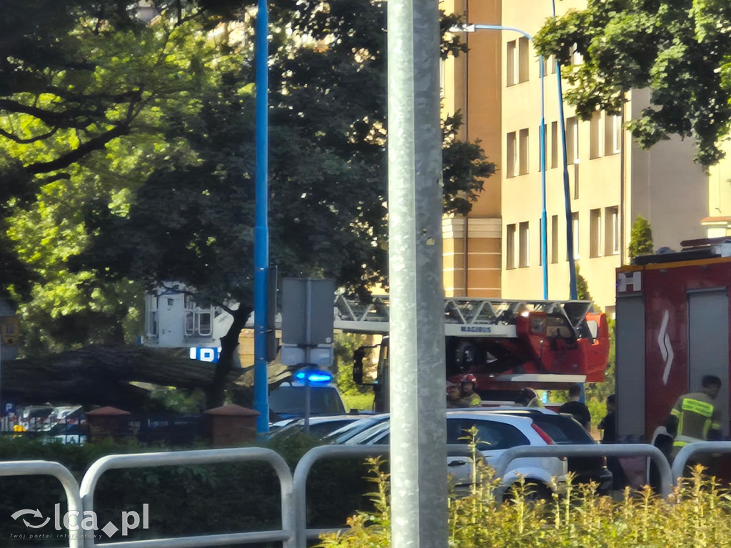 Potężne drzewo runęło na auto przy ul. Kościuszki