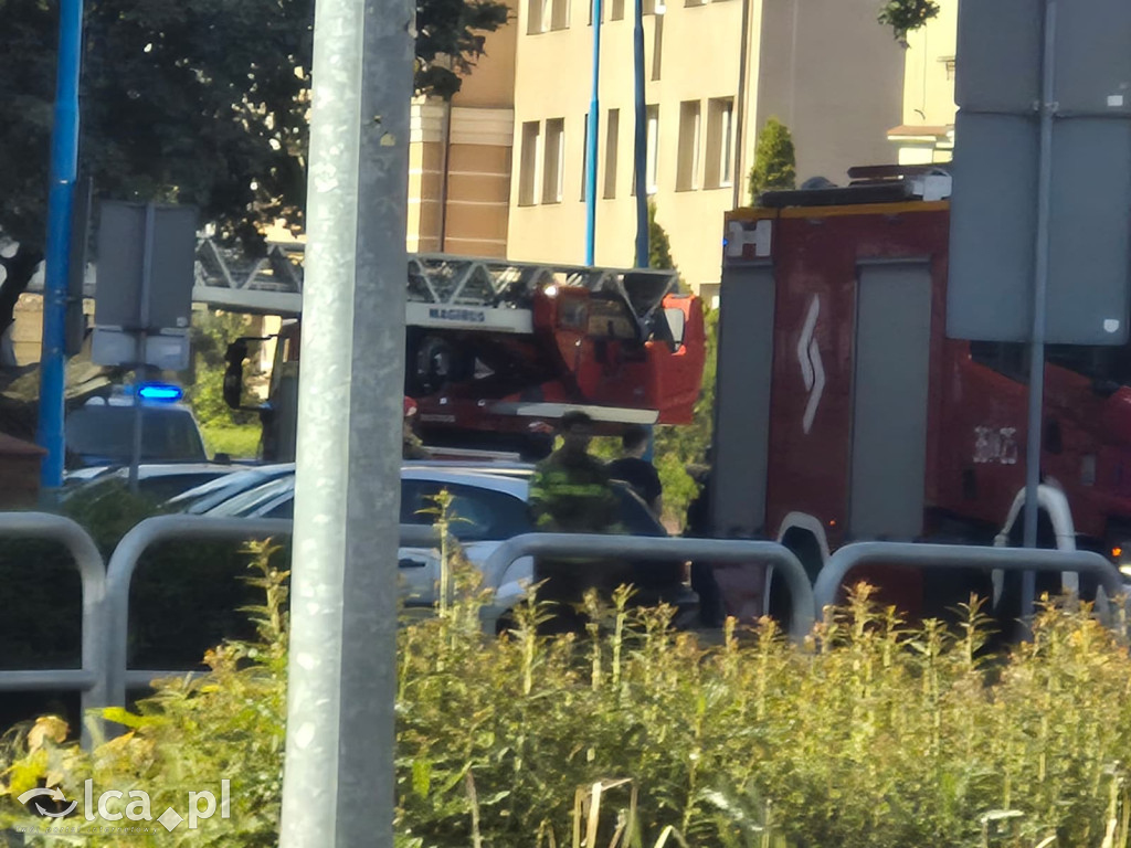 Potężne drzewo runęło na auto przy ul. Kościuszki