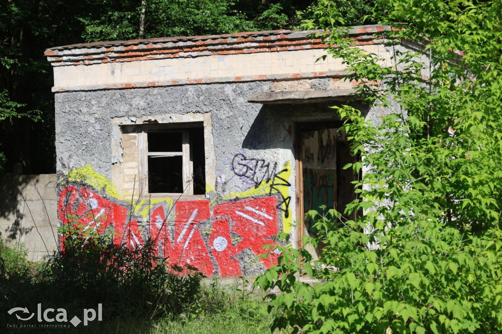 ZAKAZ WSTĘPU czy brama do innego świata?