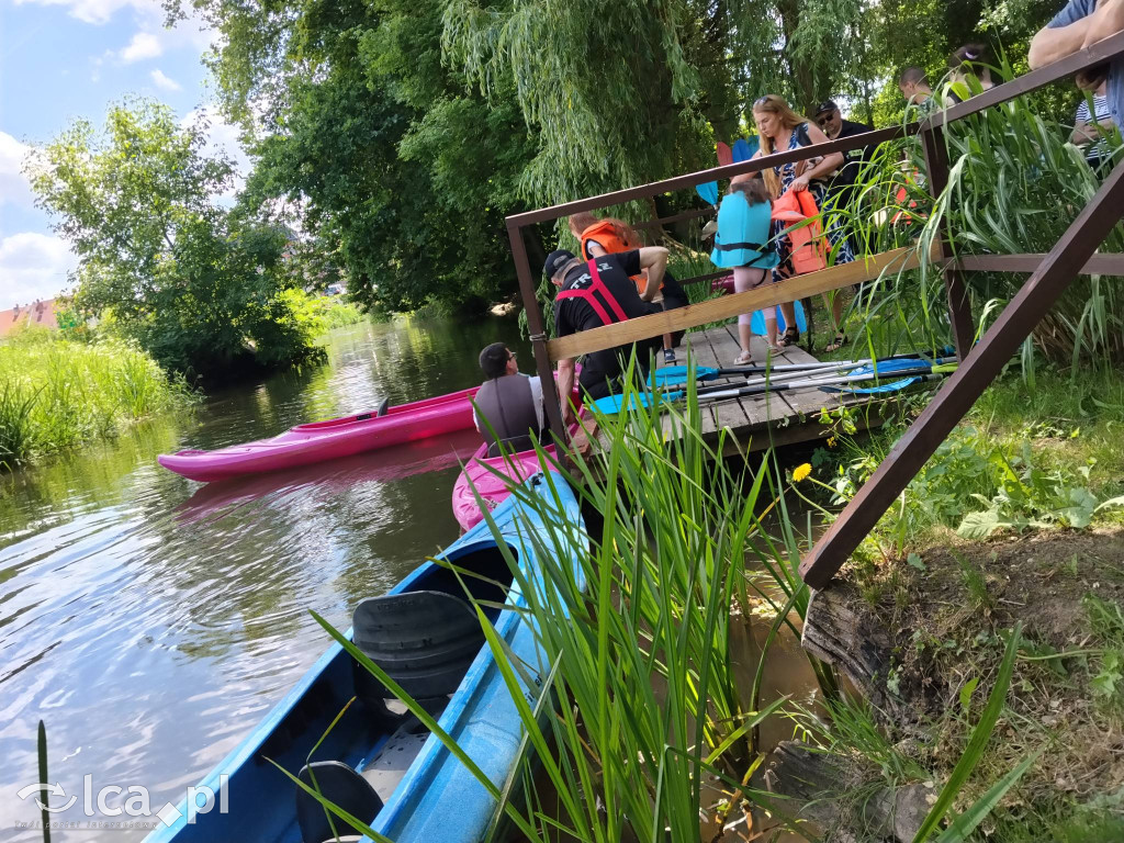 Wielki rodzinny piknik w Prochowicach