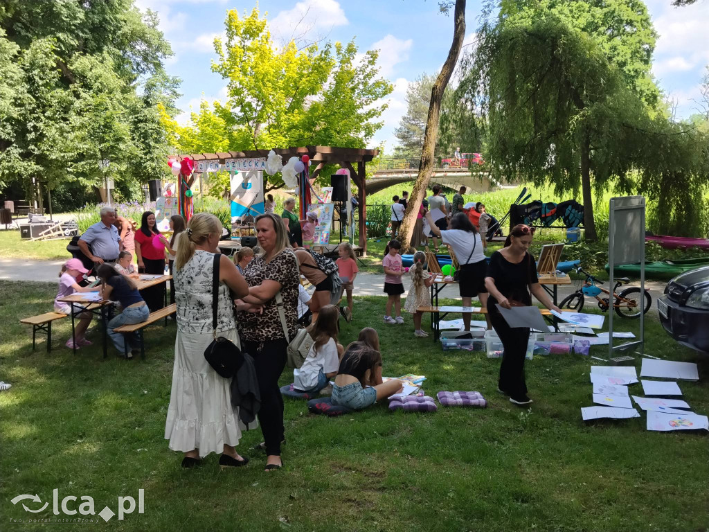 Wielki rodzinny piknik w Prochowicach