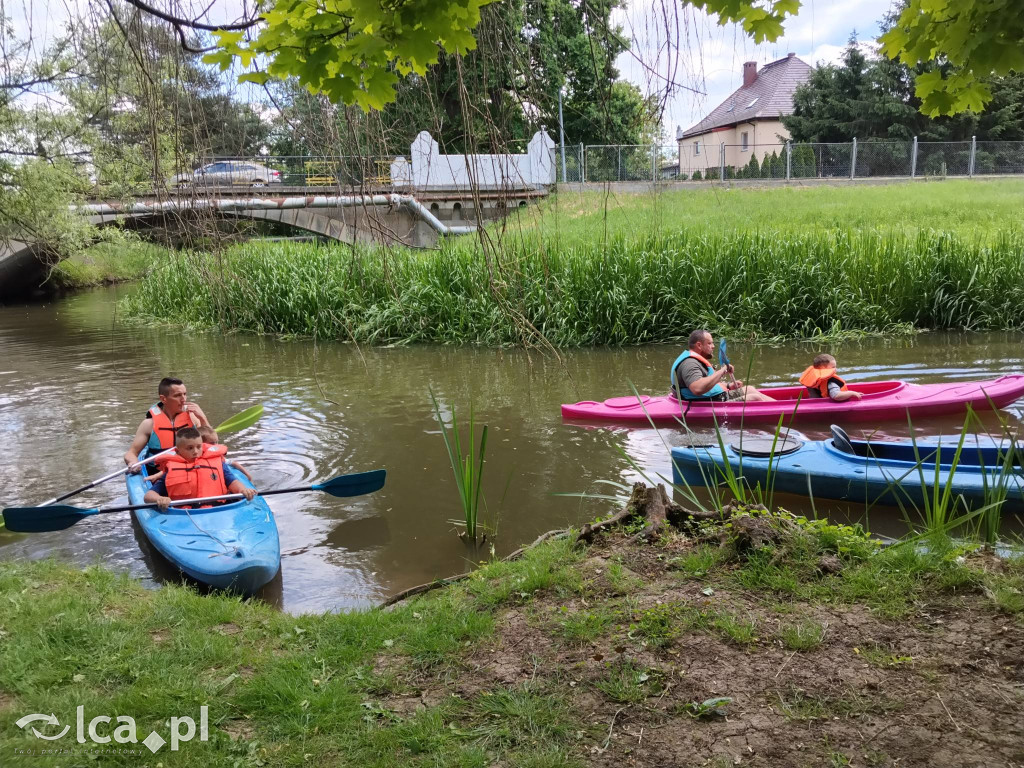Wielki rodzinny piknik w Prochowicach