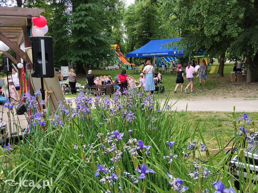 Wielki rodzinny piknik w Prochowicach