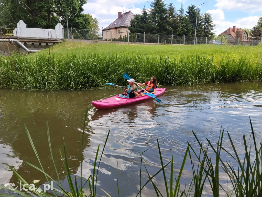 Wielki rodzinny piknik w Prochowicach
