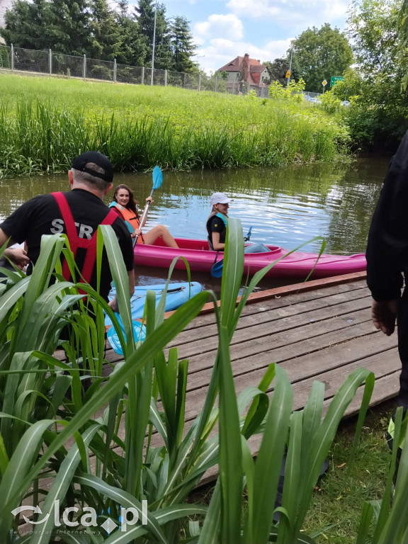 Wielki rodzinny piknik w Prochowicach