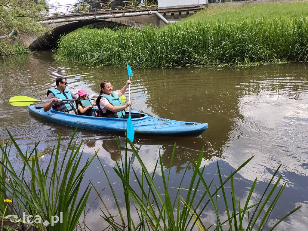 Wielki rodzinny piknik w Prochowicach