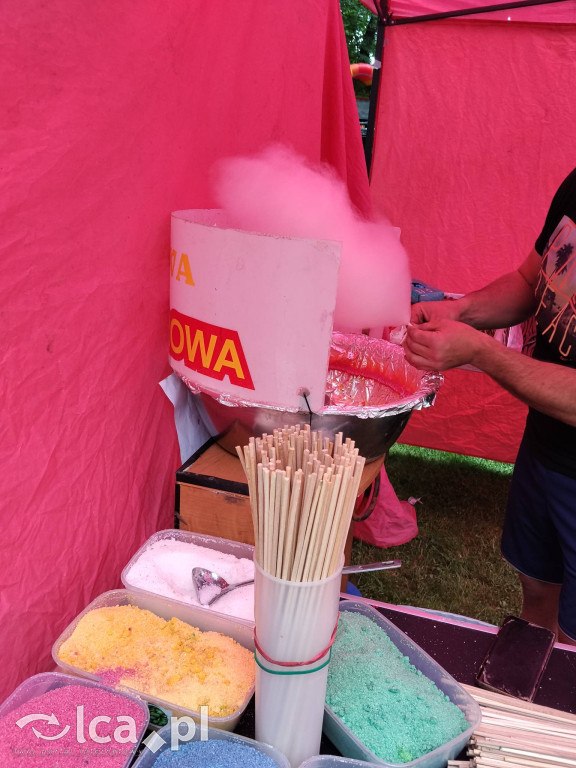 Wielki rodzinny piknik w Prochowicach