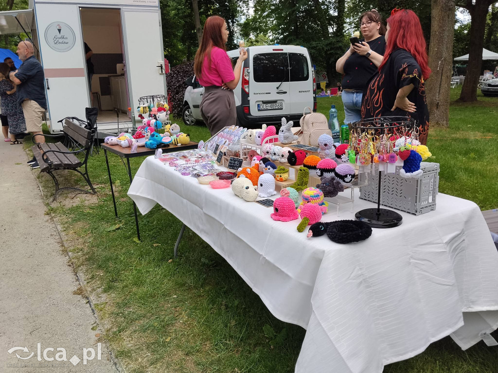 Wielki rodzinny piknik w Prochowicach