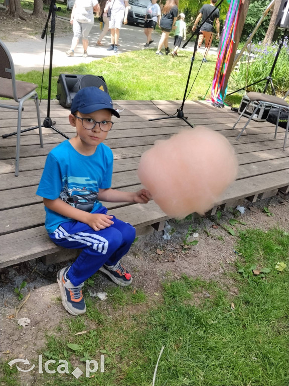 Wielki rodzinny piknik w Prochowicach