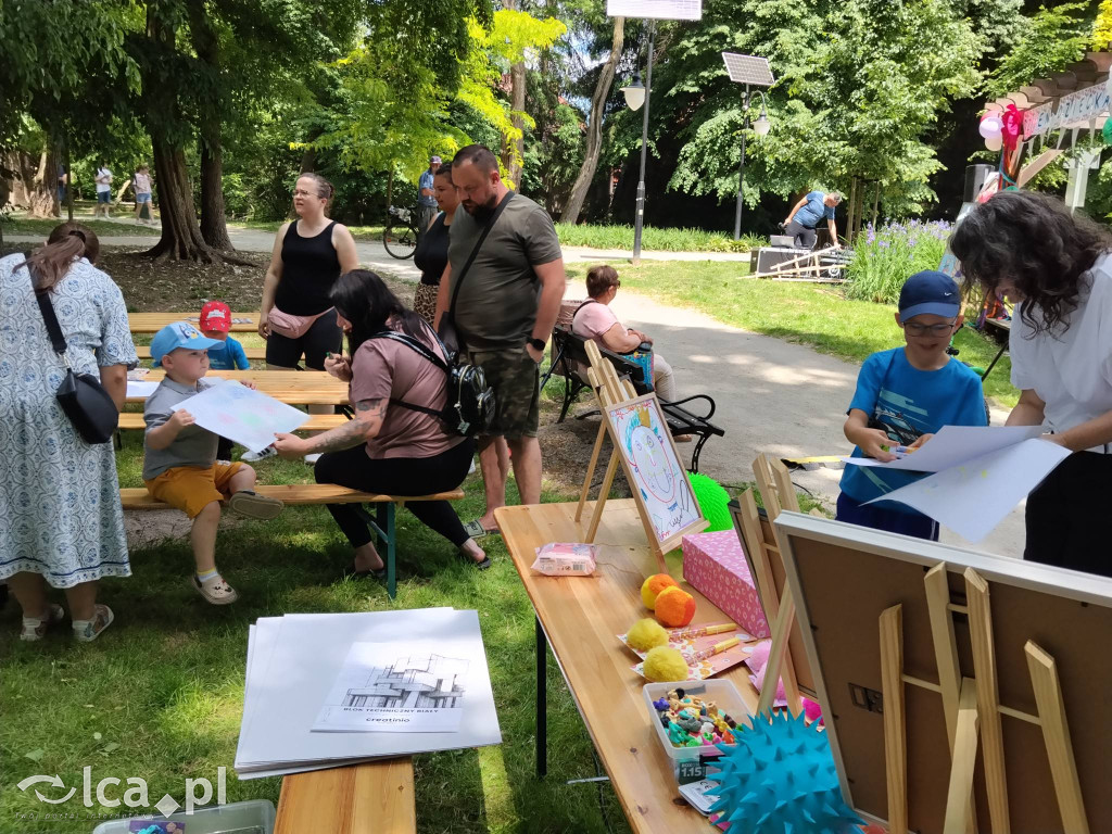 Wielki rodzinny piknik w Prochowicach