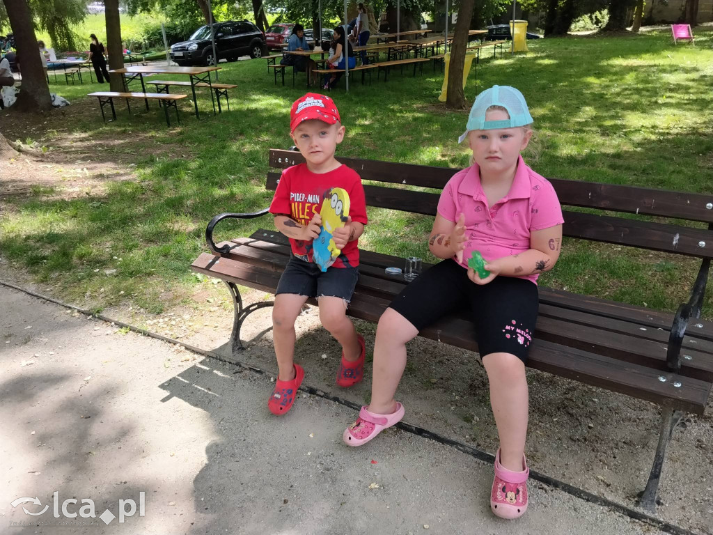 Wielki rodzinny piknik w Prochowicach