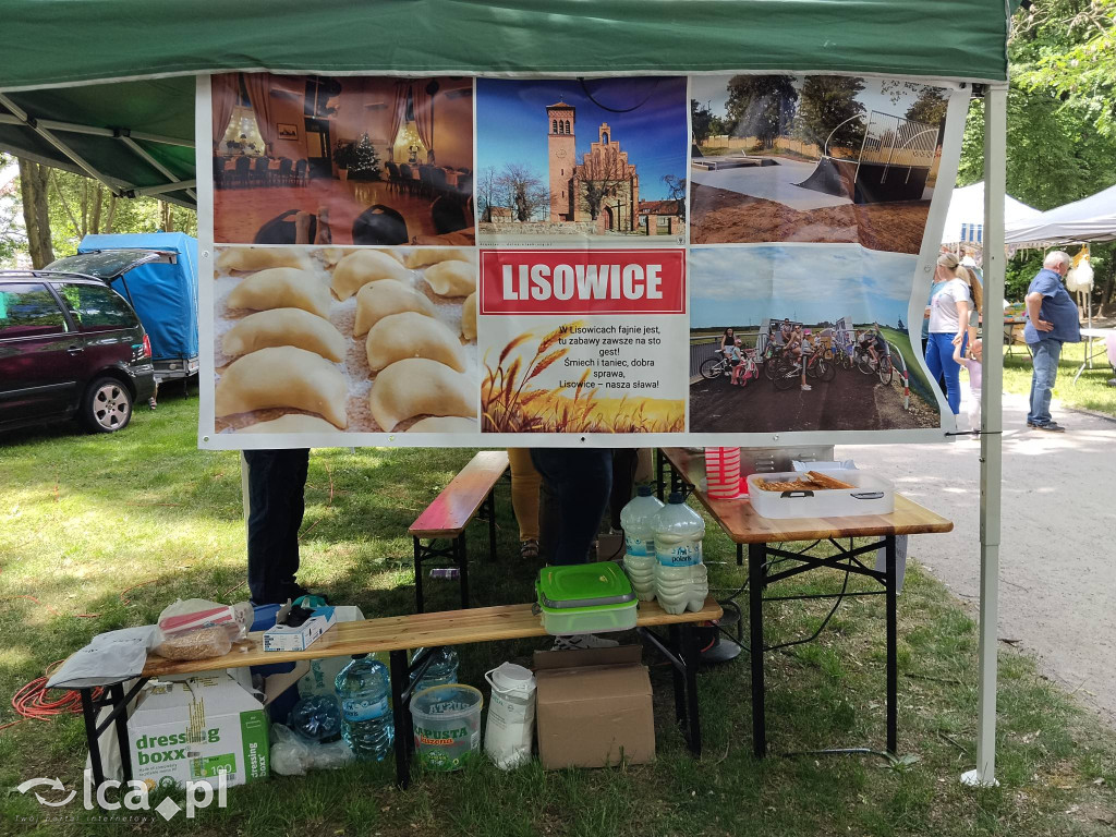 Wielki rodzinny piknik w Prochowicach