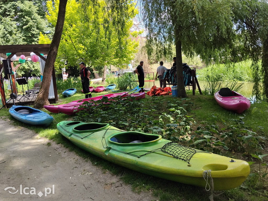Wielki rodzinny piknik w Prochowicach