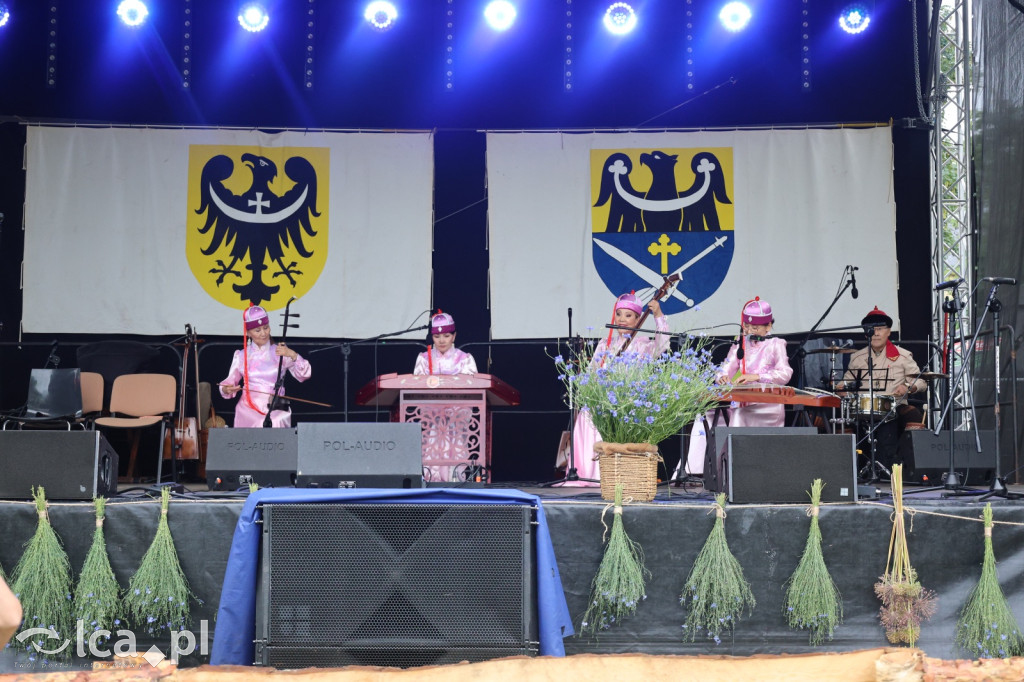 Legnickie Pole znów cofnęło się do XIII wieku