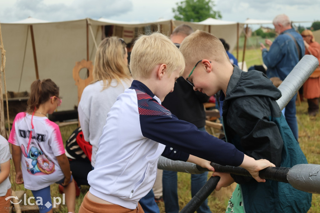 Rycerze, konie i średniowieczne widowiska