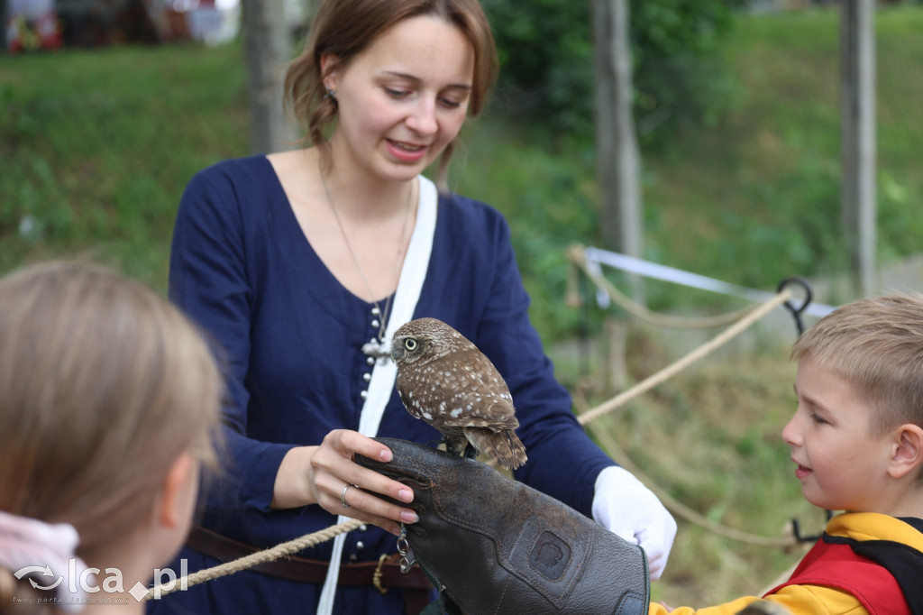 Rycerze, konie i średniowieczne widowiska