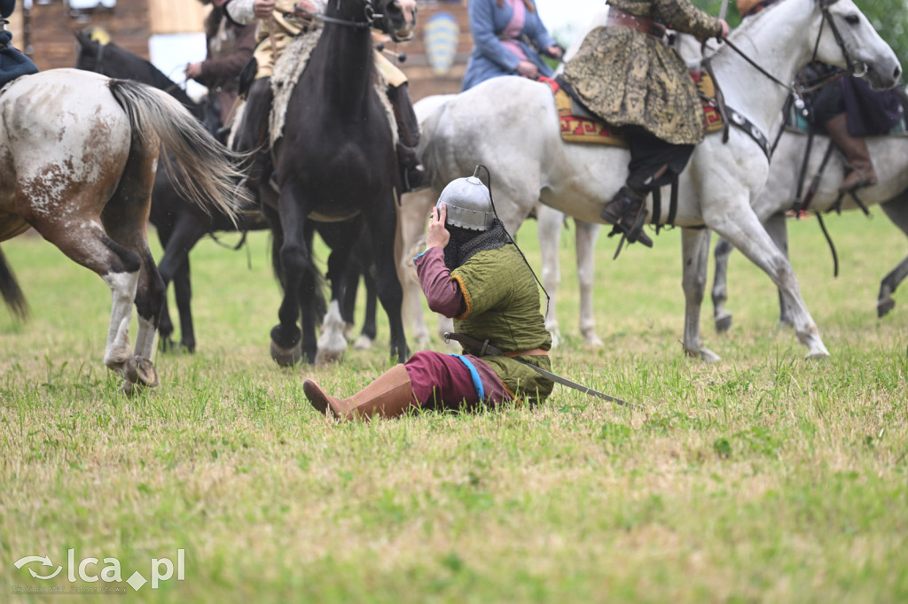 Legnickie Pola i historia, która wciąż przyciąga
