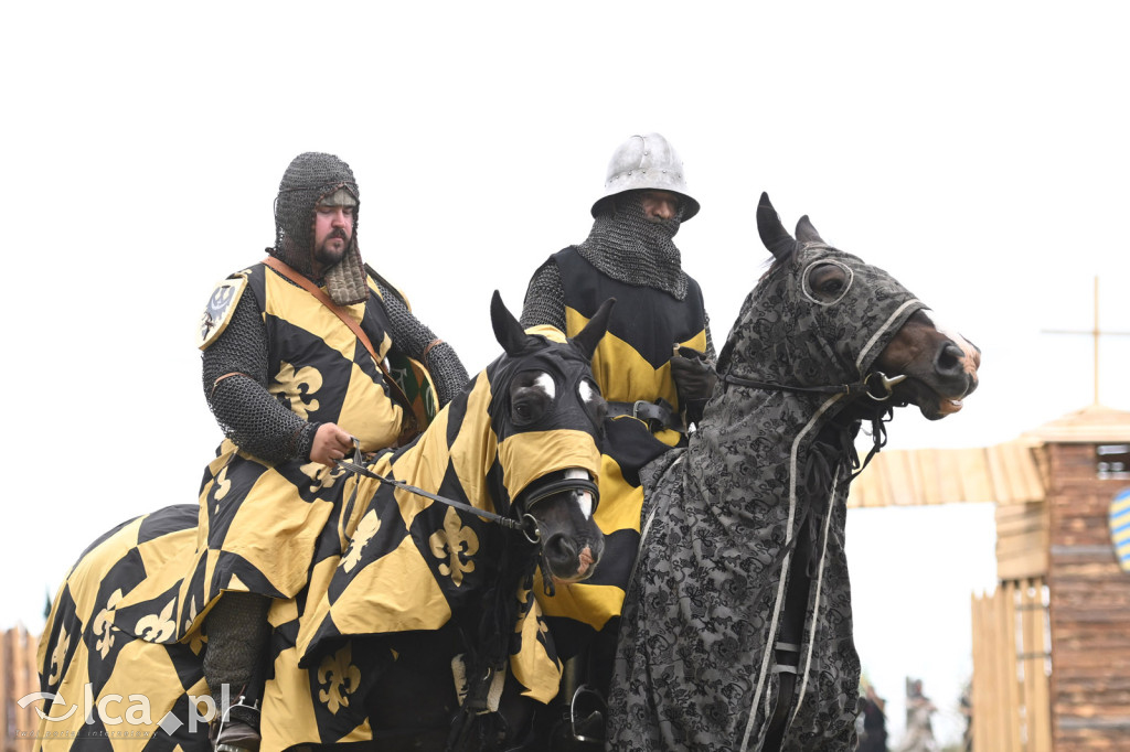 Legnickie Pola i historia, która wciąż przyciąga