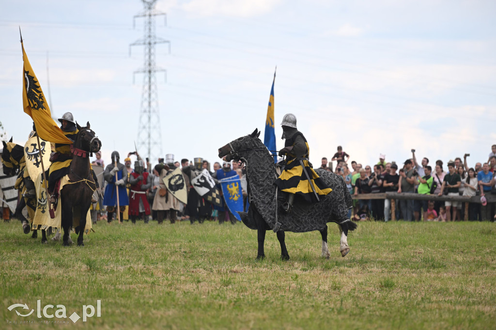 Legnickie Pola i historia, która wciąż przyciąga