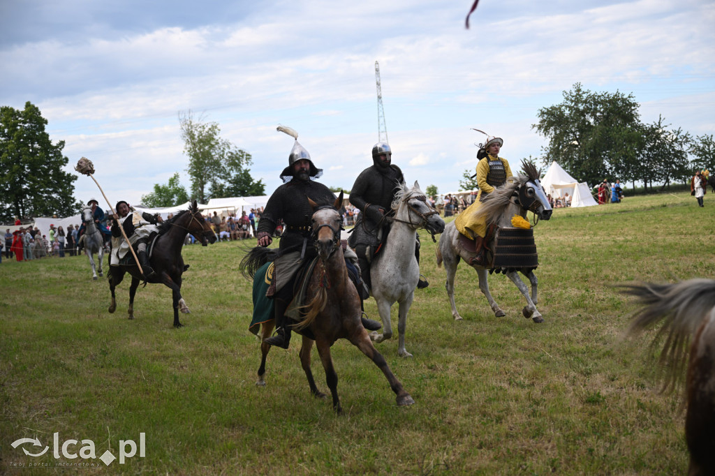 Legnickie Pola i historia, która wciąż przyciąga