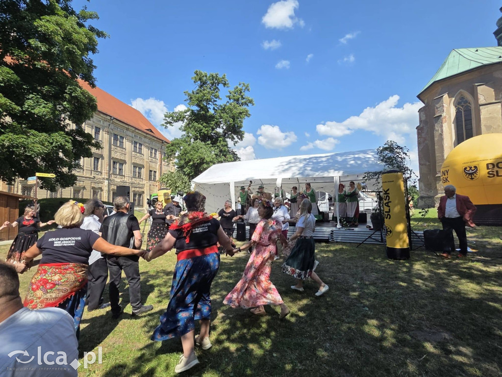 Kroniki pełne lokalnych historii