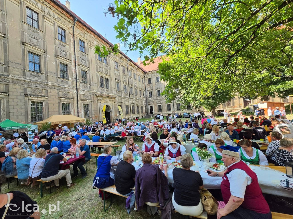 Kroniki pełne lokalnych historii