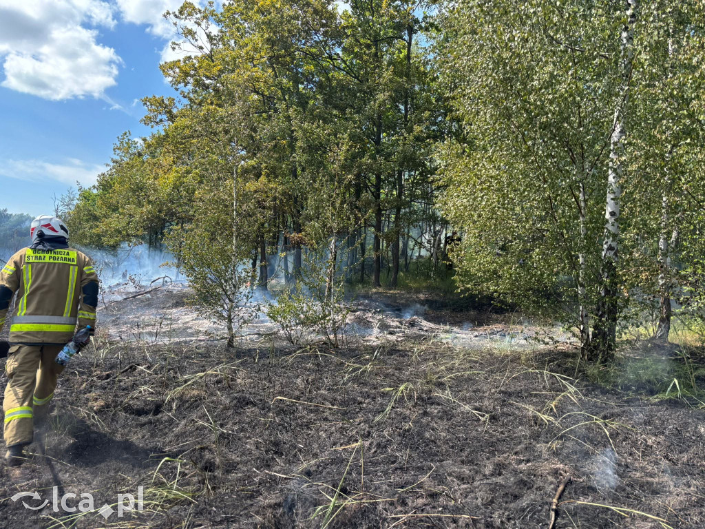 Płonął las przy Smokowickiej