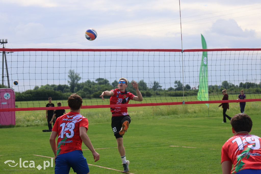 Gruszka Cup: Kunice siatkarską stolicą regionu